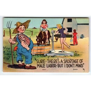 Vintage 1940s Linen Comic Postcard Farm Scene MWM Divided Back